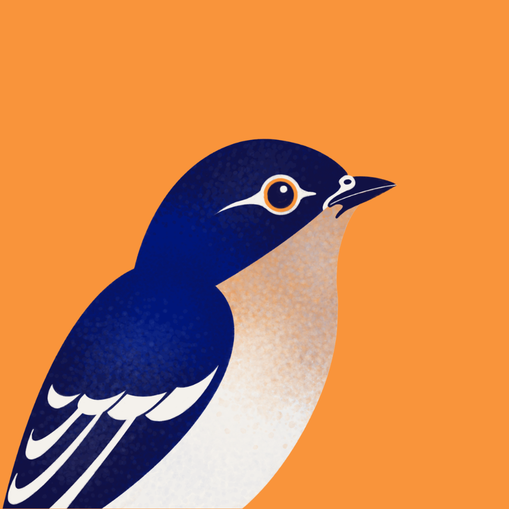 A stylized bird illustration in profile, with a deep blue head and upper body, a white underbelly, and a solid orange background.